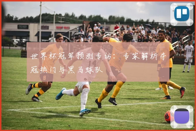 世界杯冠军预测专访:专家解析夺冠热门与黑马球队