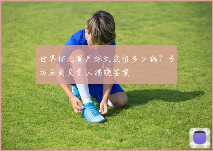 世界杯比赛用球到底值多少钱?专访采购负责人揭晓答案