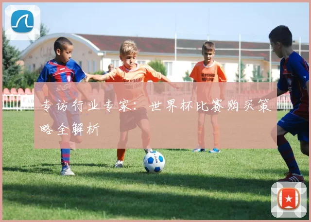 专访行业专家：世界杯比赛购买策略全解析