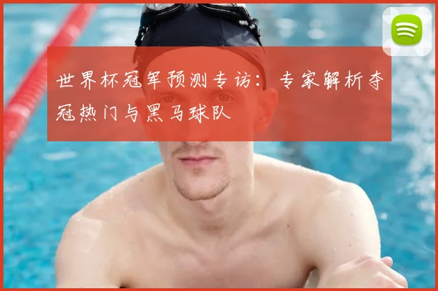 世界杯冠军预测专访:专家解析夺冠热门与黑马球队