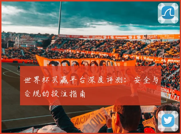 世界杯买赢平台深度评测：安全与合规的投注指南